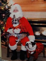 Ruggles & Buster With Santa 2013 001.jpg