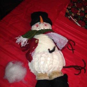 dead snowman.jpg
