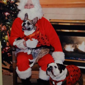 Ruggles & Buster With Santa 2013 001.jpg