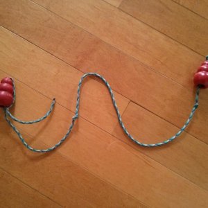 Kong string toy.jpg