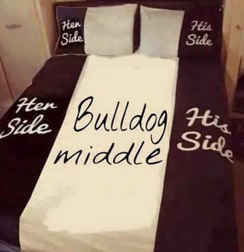 bulldog middle.jpg