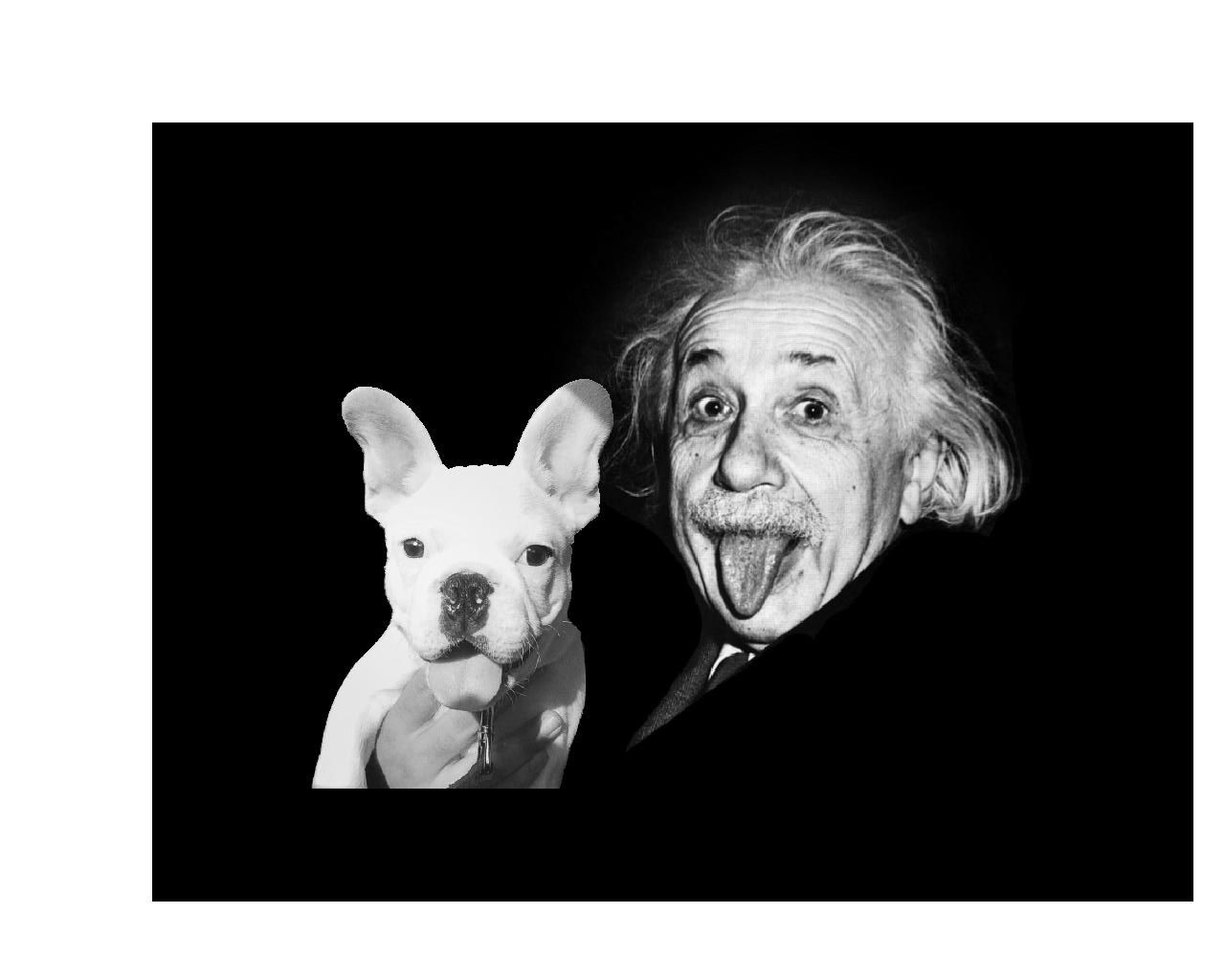 Kilo-Einstein1.jpg
