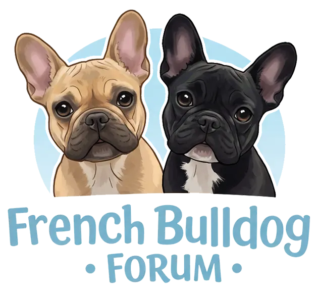 French Bulldog Forum 🐾