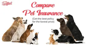 compare_pet_insurance_1 (1).webp