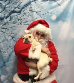 SantaPaws2.jpg