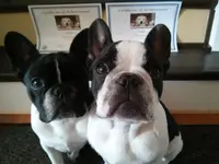 Penelope and Fergus graduate.webp