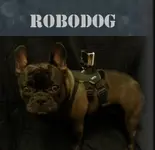 robodog_plain.webp