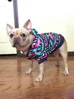 rosie hoodie.webp