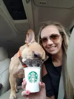 Puppuccino.webp