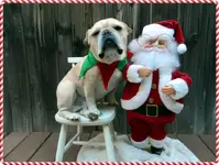 xmas w Santa 2016.webp