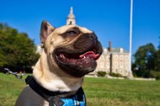 Stanley In Front of Old Main (1).jpg