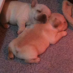 Gus as a baby with his sister using him as a pillow