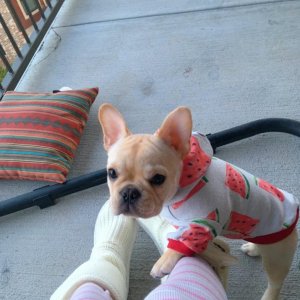 nothing cuter than a hoodie with watermelons on it.