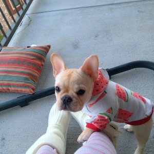 watermelon hoodie!!