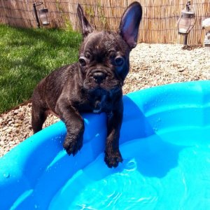 loving the poolside