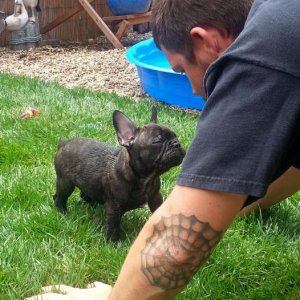 Daddy with Bear