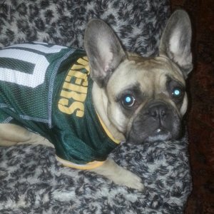 Bad start to 2015 for Ruby & the Packers