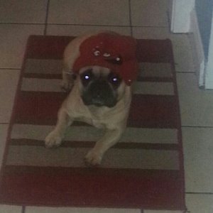 Ruby w/ her Meatwad hat