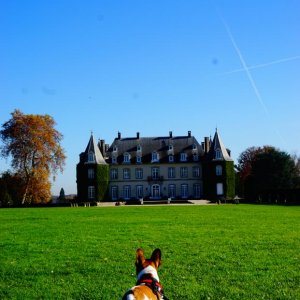 Visiting a beautiful chateau on this gorgeous Fall day