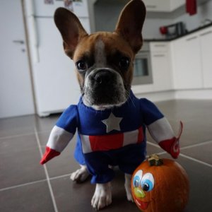 Happy Halloween from Captain America