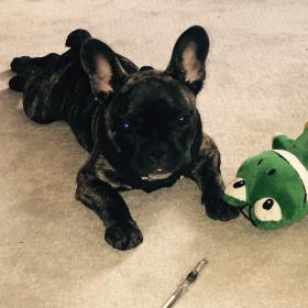 Bleau and her frog