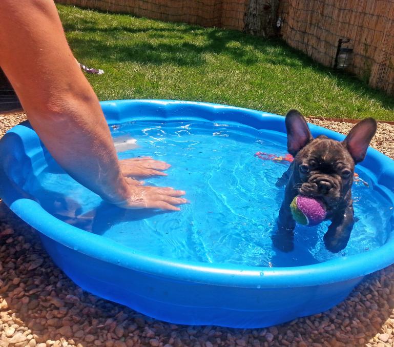 Daddy doesn't fit in the pool