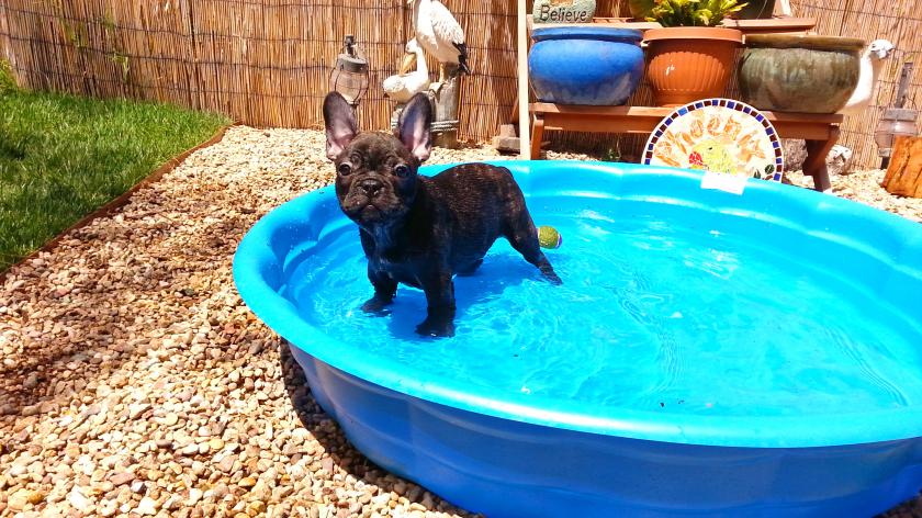 enjoying the water