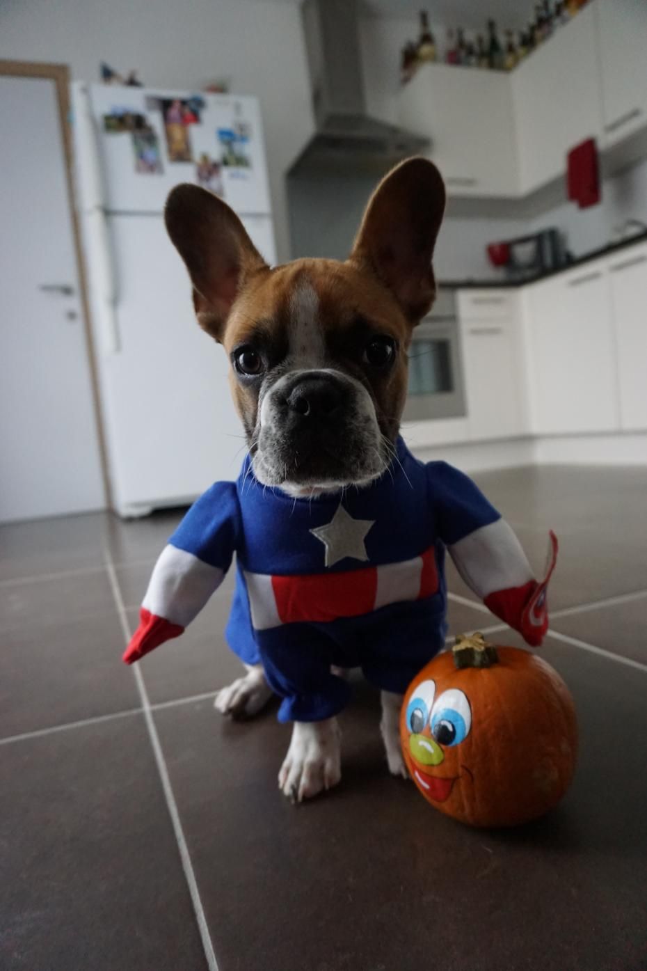 Happy Halloween from Captain America