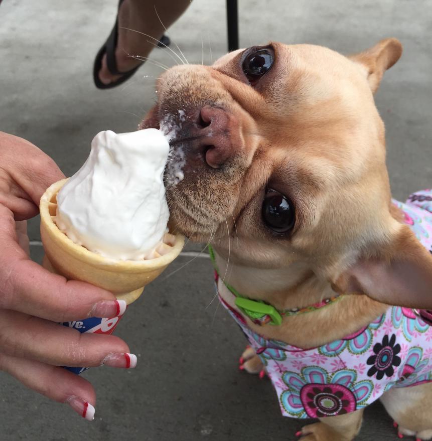 Ice cream.jpg