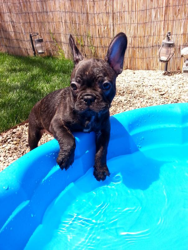 loving the poolside