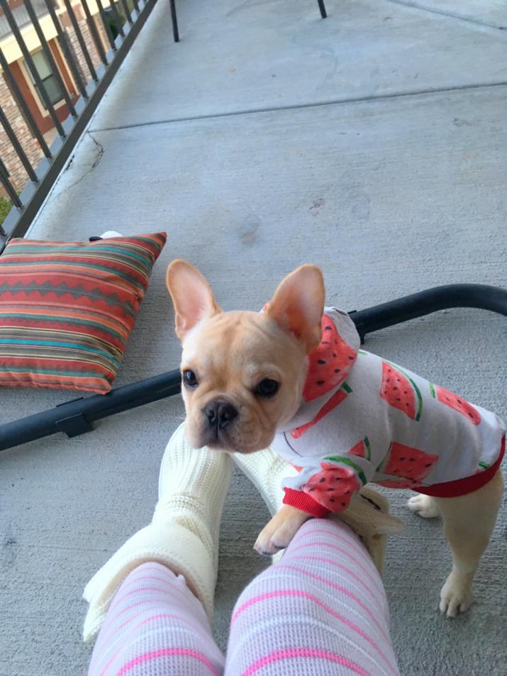 nothing cuter than a hoodie with watermelons on it.