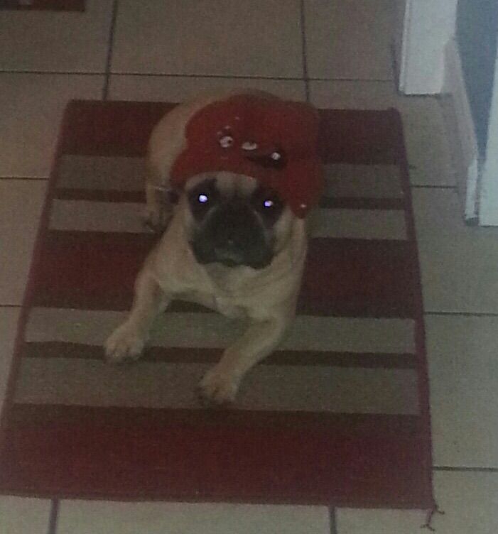 Ruby w/ her Meatwad hat