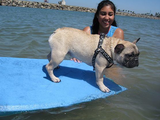 She did this all on her own! Bisou noticed the girl with the boogie board and made a beeline to her and crawled up onto it. All we had to do is hold o