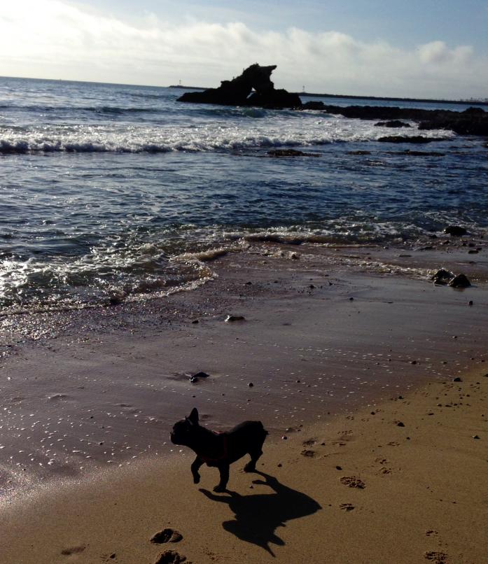 Stella struttin her stuff on the beach