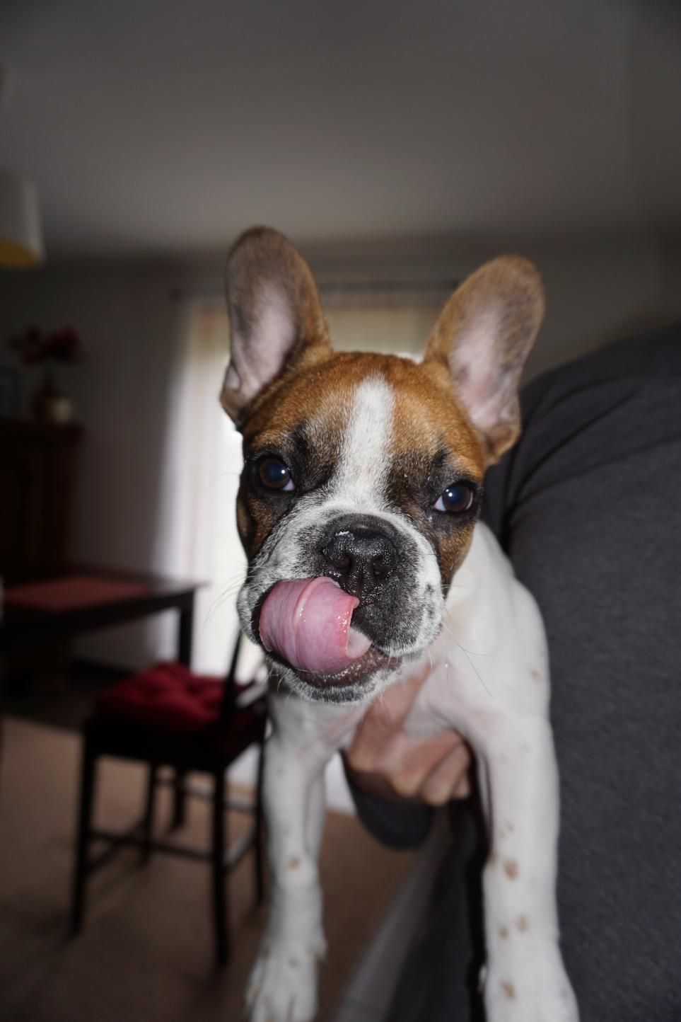 Tongue out Tuesday