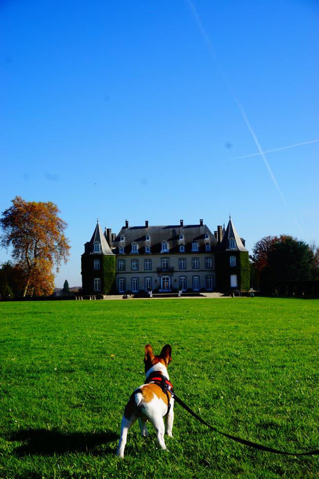 Visiting a beautiful chateau on this gorgeous Fall day