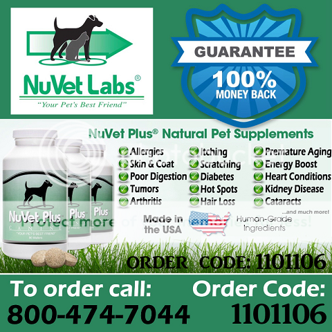 Nuvet-dog-vitamins%20copy%2060percent_zps37tvmkds.png